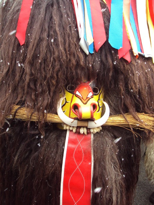 Will be posting soon about the coolest carnival EVER in SLOVENIA!