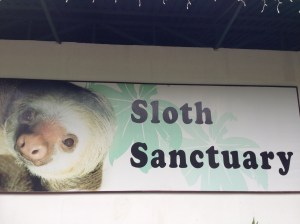 Sloth Sanctuary