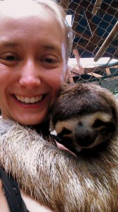 Sloths are cute.