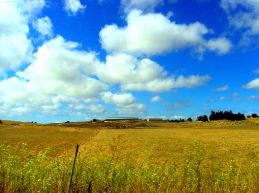 Wide open spaces. US of A. 